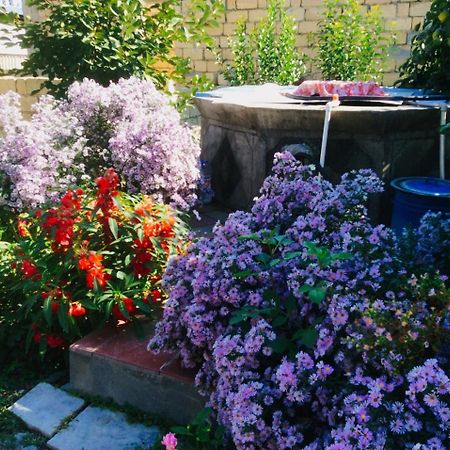 Şǝki House On Ashiq Cuma Street 8 Bed & Breakfast エクステリア 写真