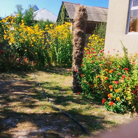 Şǝki House On Ashiq Cuma Street 8 Bed & Breakfast エクステリア 写真