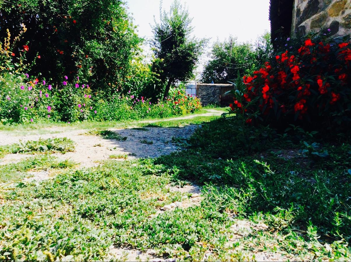 Şǝki House On Ashiq Cuma Street 8 Bed & Breakfast エクステリア 写真