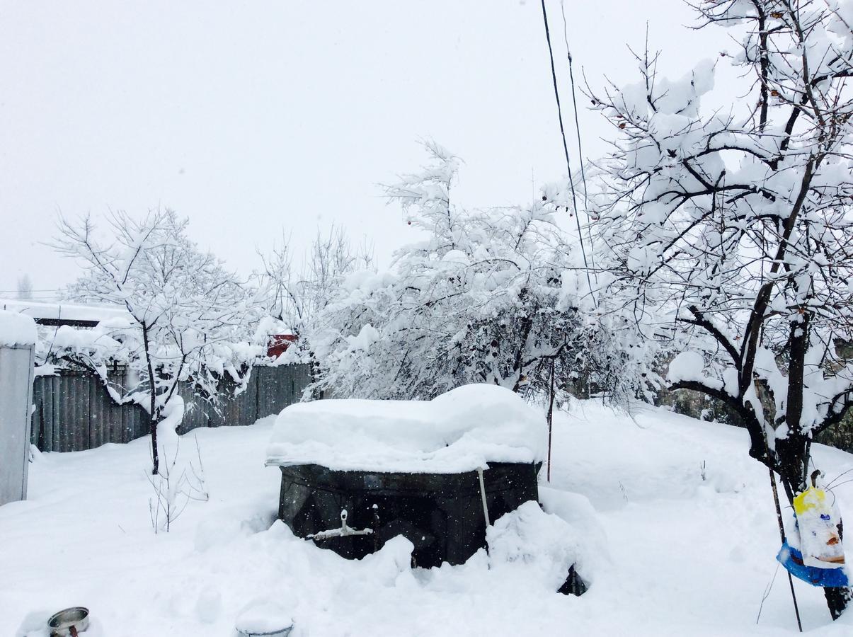 Şǝki House On Ashiq Cuma Street 8 Bed & Breakfast エクステリア 写真