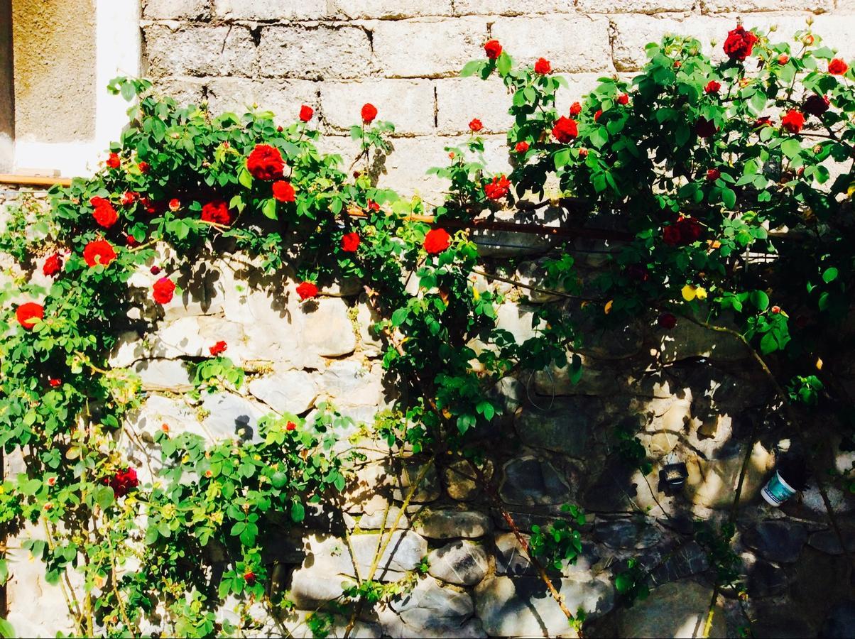 Şǝki House On Ashiq Cuma Street 8 Bed & Breakfast エクステリア 写真