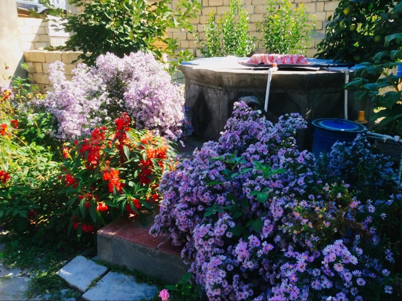 Şǝki House On Ashiq Cuma Street 8 Bed & Breakfast エクステリア 写真