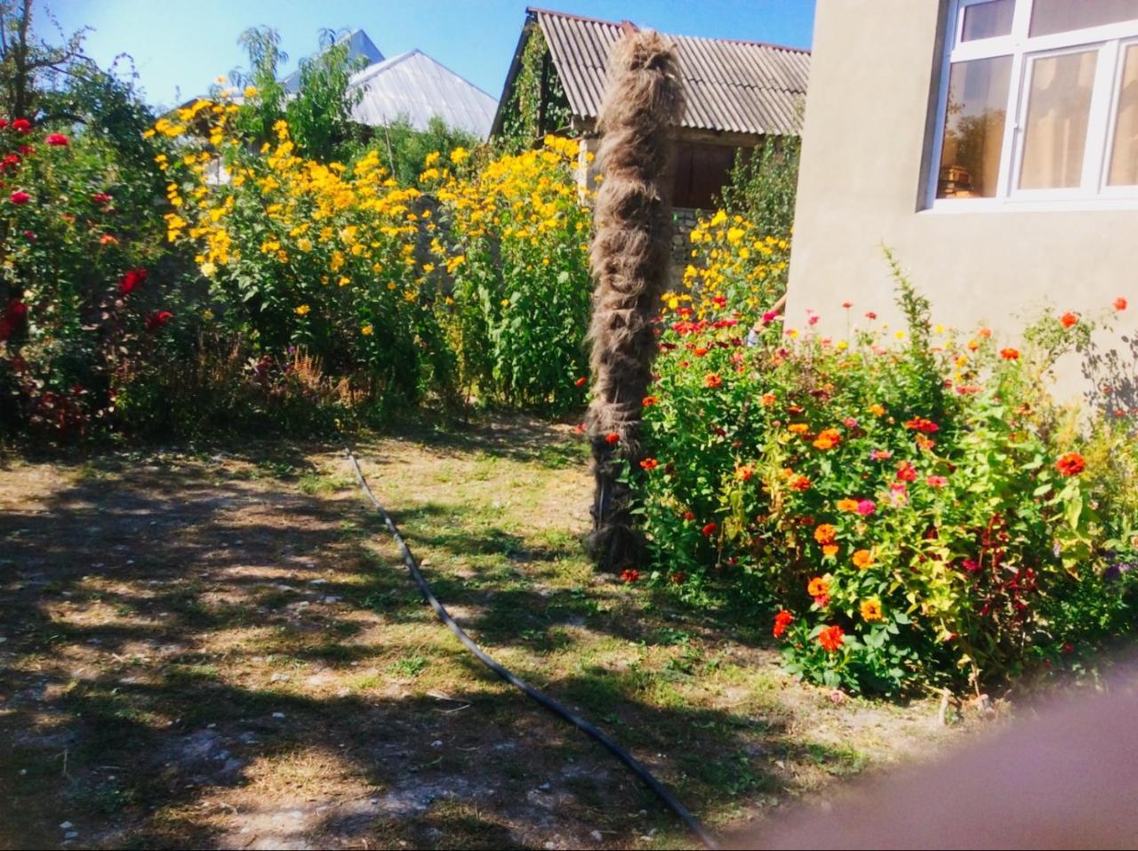 Şǝki House On Ashiq Cuma Street 8 Bed & Breakfast エクステリア 写真