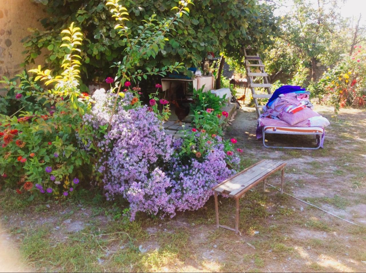 Şǝki House On Ashiq Cuma Street 8 Bed & Breakfast エクステリア 写真