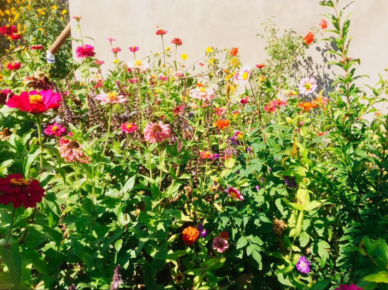 Şǝki House On Ashiq Cuma Street 8 Bed & Breakfast エクステリア 写真