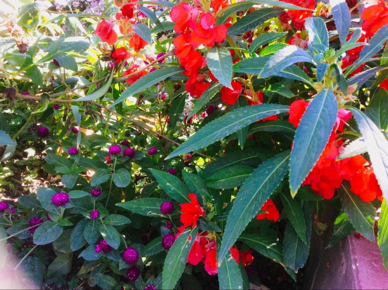 Şǝki House On Ashiq Cuma Street 8 Bed & Breakfast エクステリア 写真