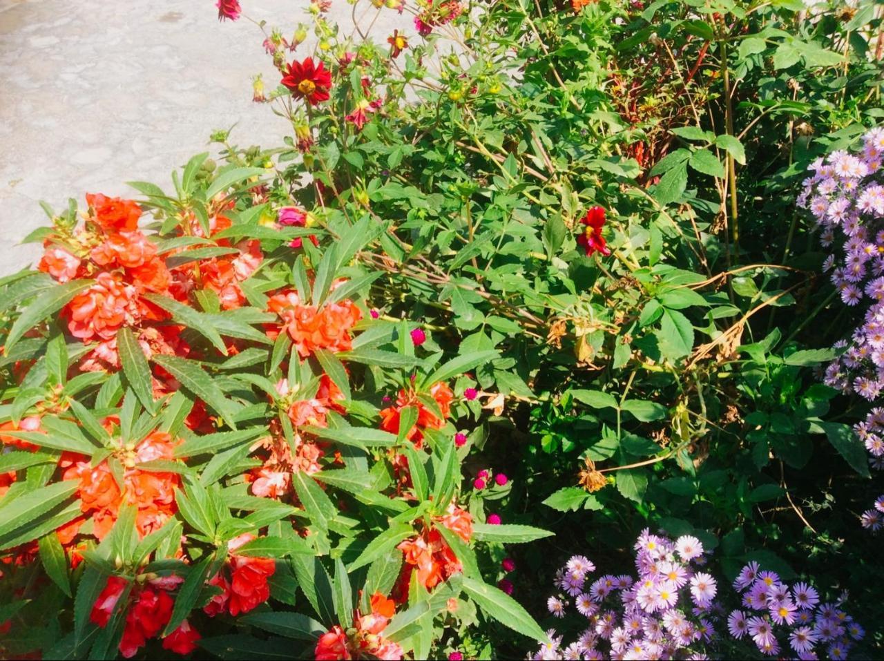 Şǝki House On Ashiq Cuma Street 8 Bed & Breakfast エクステリア 写真