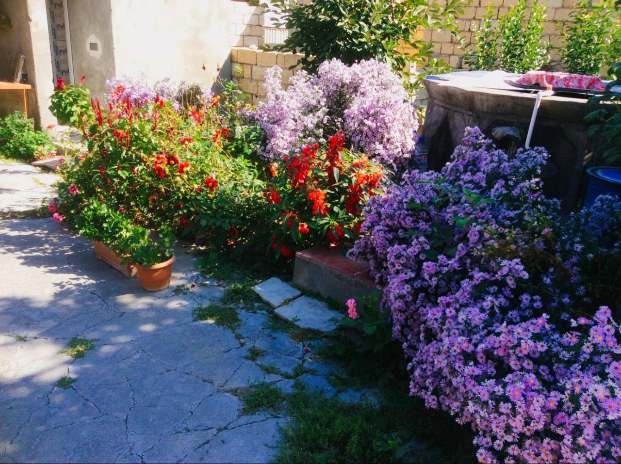 Şǝki House On Ashiq Cuma Street 8 Bed & Breakfast エクステリア 写真